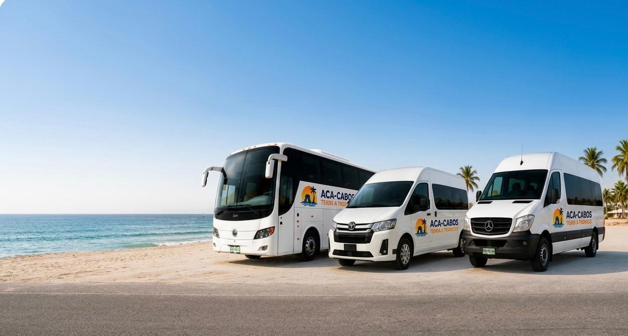 Camionetas y Autobuses